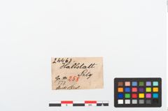 Etikett zu Bronzeschlangenfibel (NHMW-PRAE-024463)